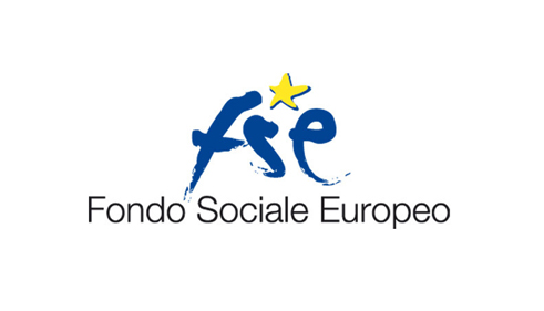 FSE logo 888