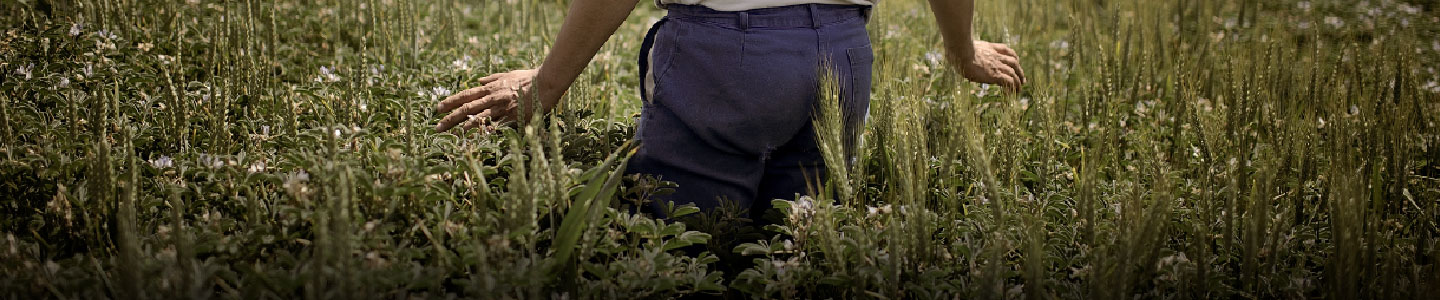 Foto agricoltura
