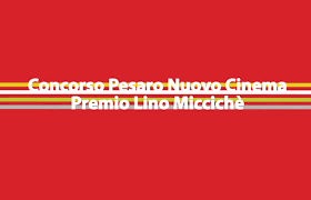 Premio 11