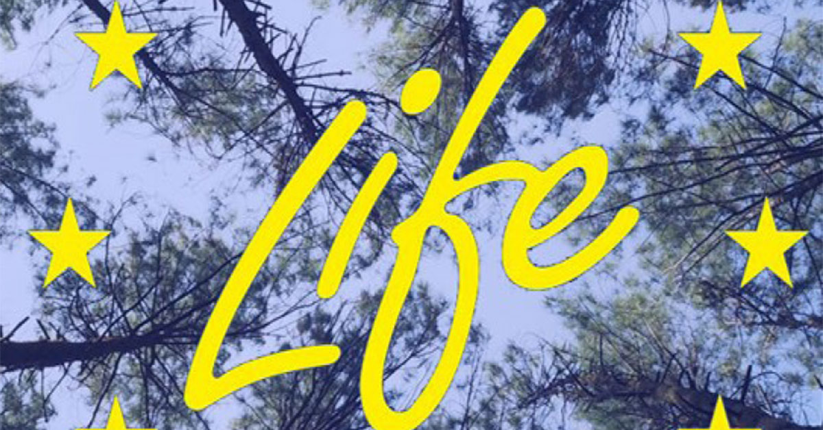 Programma Life 41