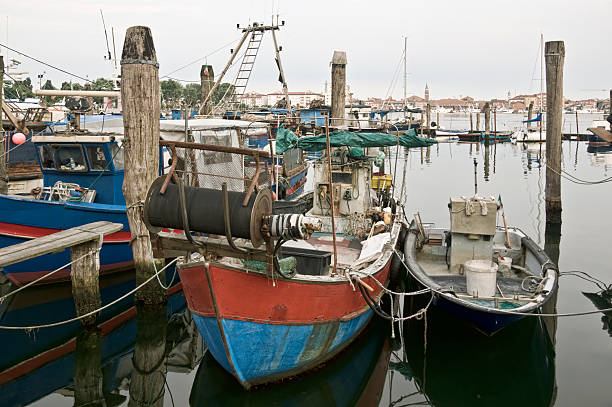 istockphoto 106557915 612x612