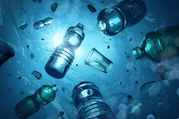 istockphoto 1193095410 612x612