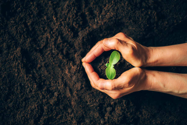 istockphoto 1226375088 612x612