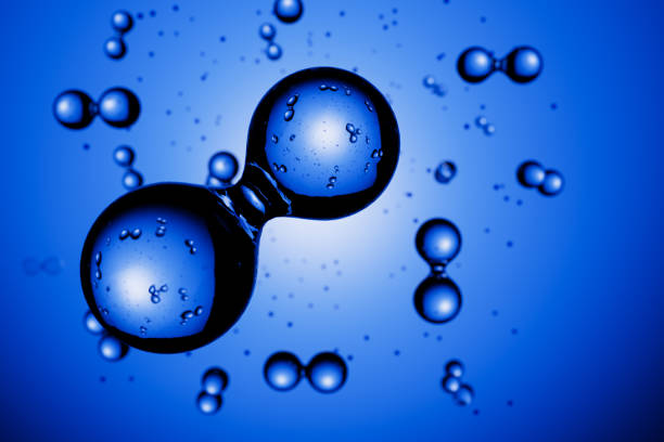 istockphoto 1262352813 612x612