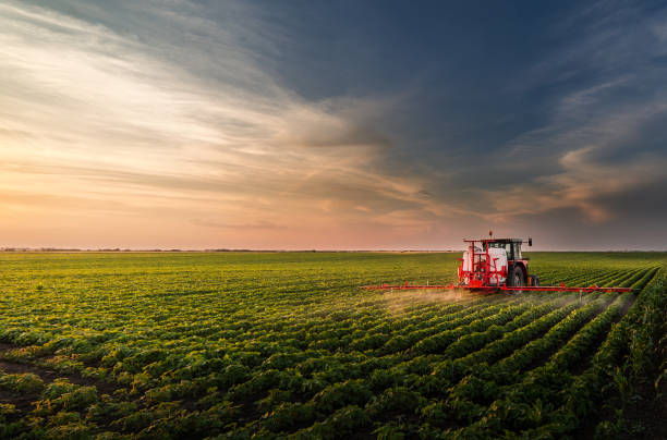 istockphoto 1301956707 612x612
