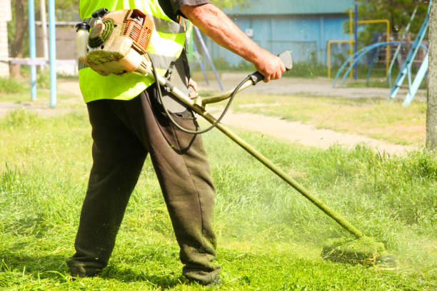 istockphoto 1318431474 612x612