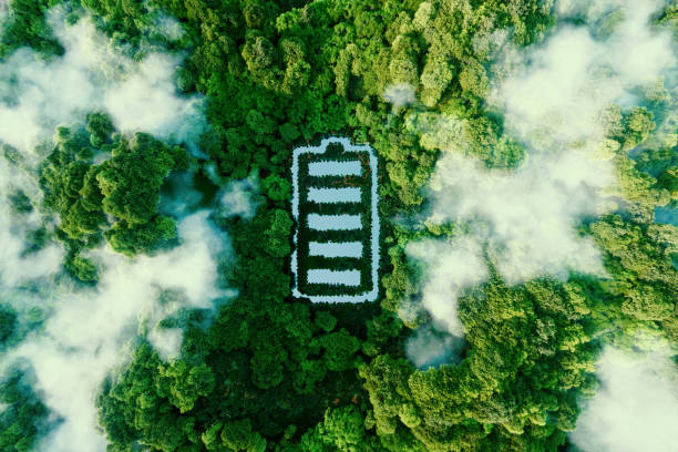 istockphoto 1340519928 612x612