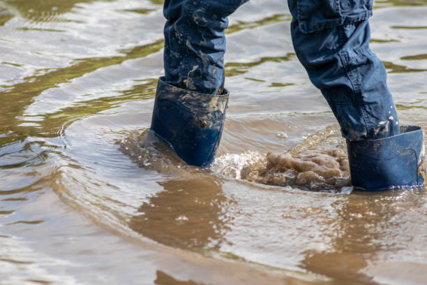 istockphoto 1351458199 612x612
