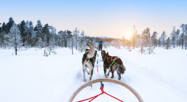 istockphoto 1385361883 612x612