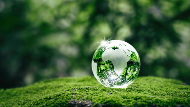 istockphoto 1489061272 612x612