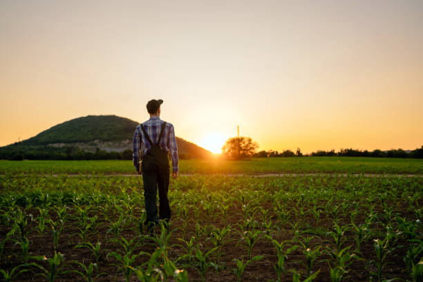 istockphoto 1534052549 612x612