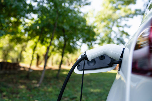 istockphoto 1795103605 612x612
