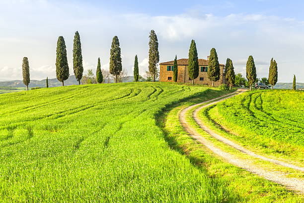 istockphoto 530226369 612x612