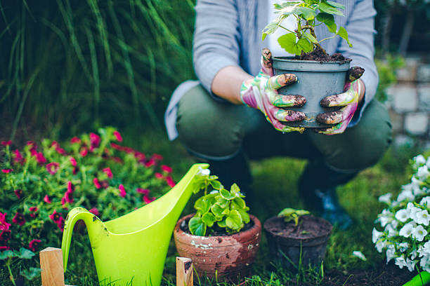 istockphoto 539829042 612x612