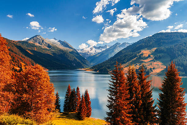 istockphoto 611616954 612x612