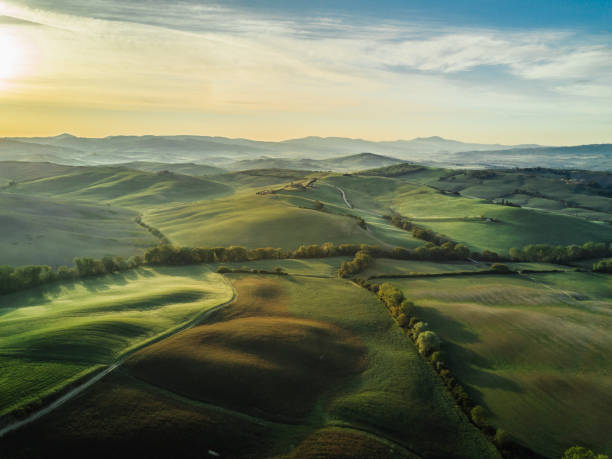 istockphoto 691930476 612x612