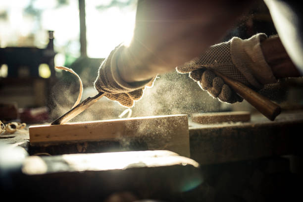 istockphoto 808906682 612x612