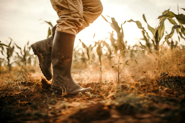 istockphoto 976680140 612x612