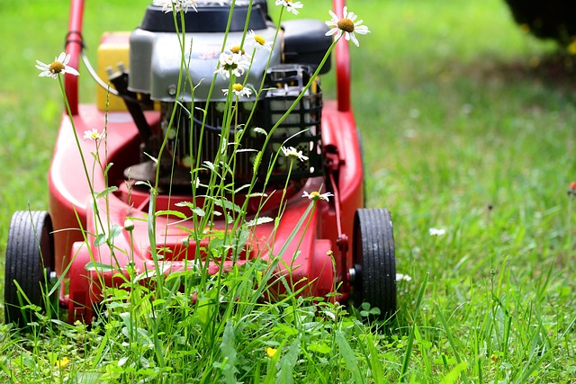lawn mower 5329533 640