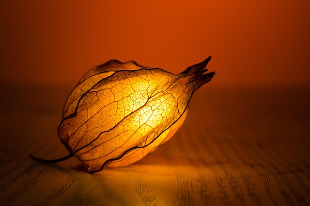 light 1853025 640