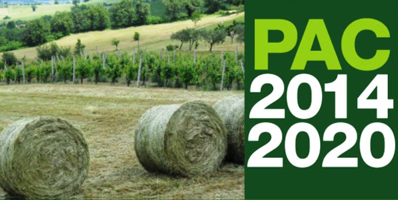 pac politica agricola comune