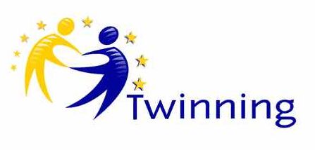 twinning logo