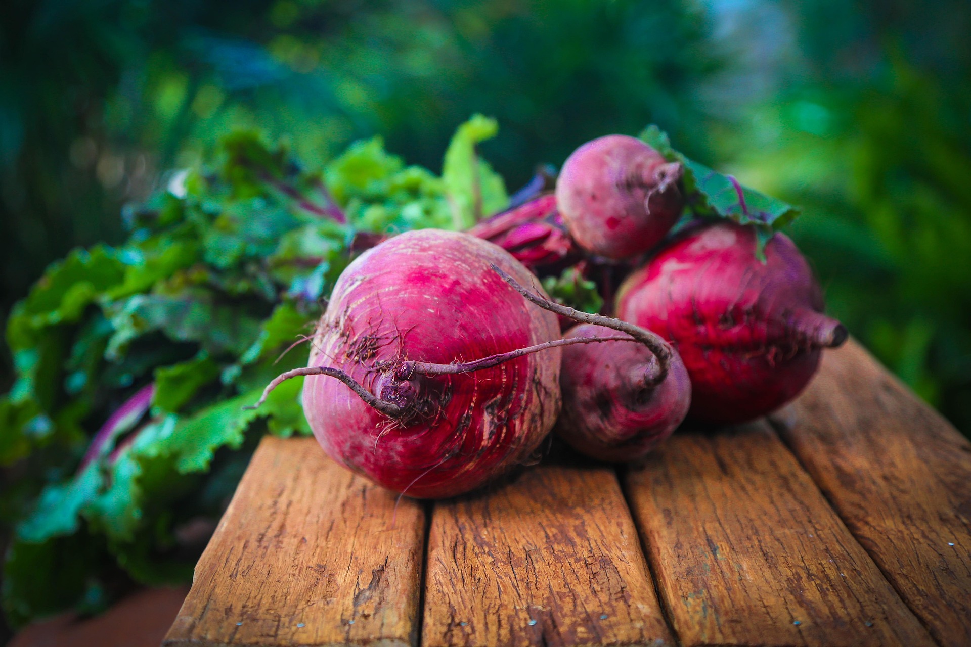 desertrose7 beetroot 687251 1920