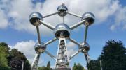 waldomiguez belgium 11384481920